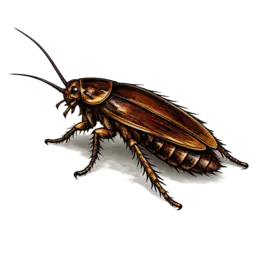 Hamam böceği ilaçlama