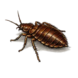 Tahta kurusu ilaçlama